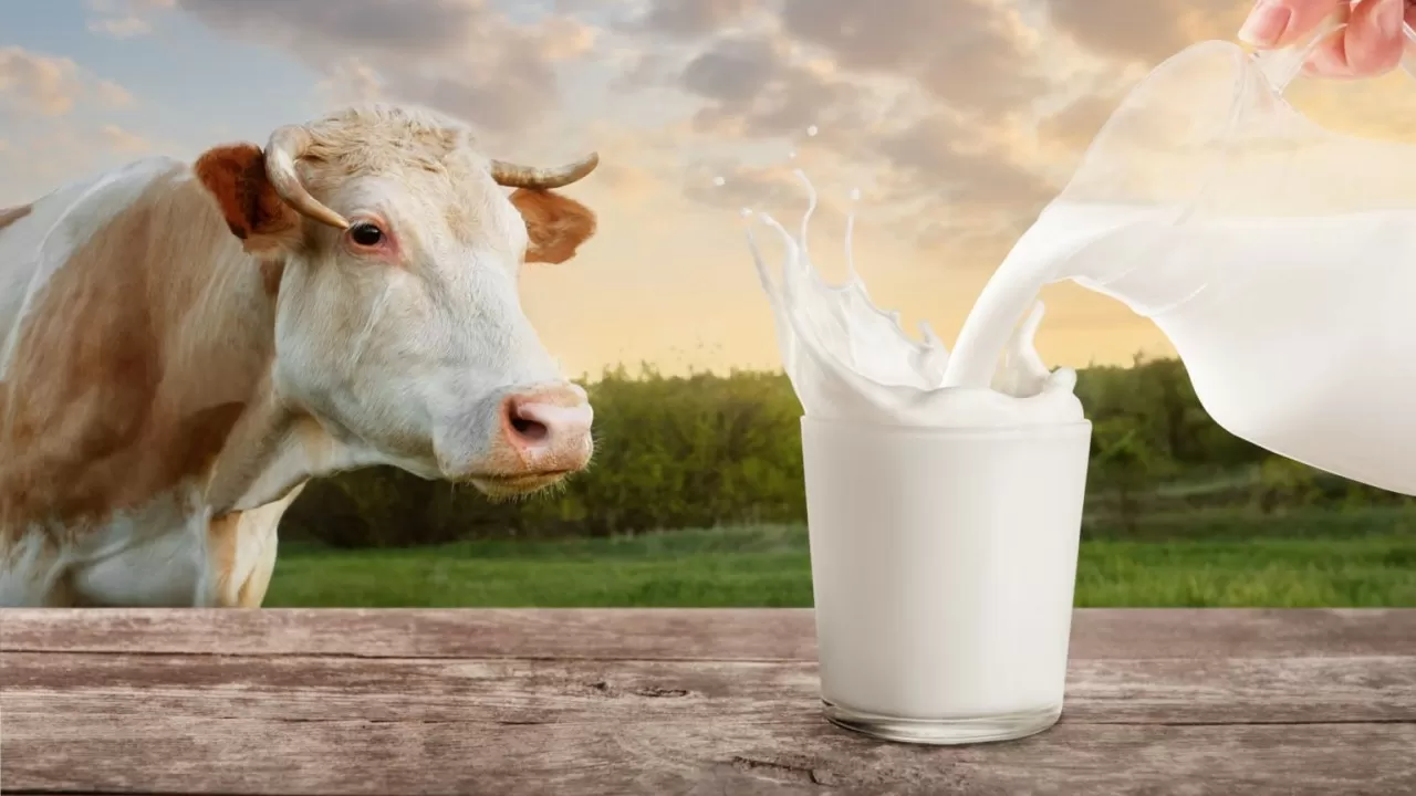 Правительство меняет схему субсидирования АПК: молоко подорожает опять?