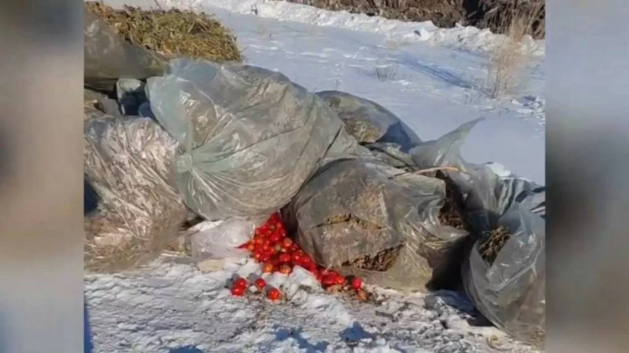 В Актобе на полигон для снега выгрузили 40 тонн гнилых помидоров