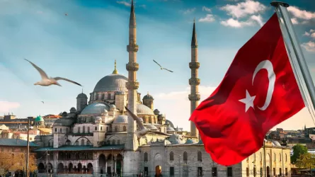 Турецкие власти не рекомендуют своим гражданам посещать Европу и США