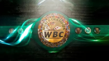 WBC инициирует создание лиги боксеров-трансгендеров