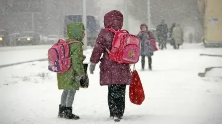 На удаленку перевели учащихся второй смены в Астане