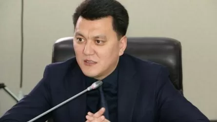 Власти государств, прошедших через подобные кризисы, стараются "максимально закрутить гайки" – Ерлан Карин