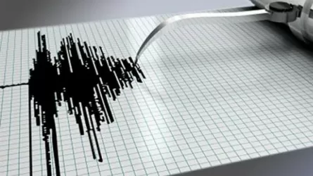 Жители Шымкента почувствовали землетрясение