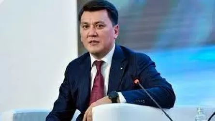 Ерлан Қарин алдағы сайлаудың 10 жаңалығын атады