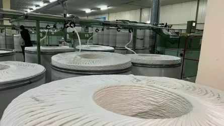 В Казахстане засеют 1000 тонн турецких семян хлопчатника