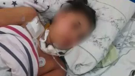 Шымкентте былтыр қыркүйекте босанған әйел комадан кейін ауыр халде жатыр