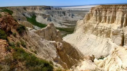 Жаужүрек Маңғыстау өңіріндегі жағдай алаңдатады