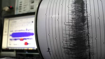 Землетрясение магнитудой 5,6 зафиксировали сейсмологи Казахстана