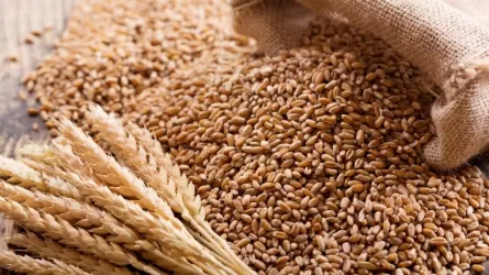 Россия собирается снизить экспортную пошлину на пшеницу