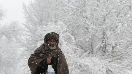Десятки человек погибли из-за морозов в Афганистане