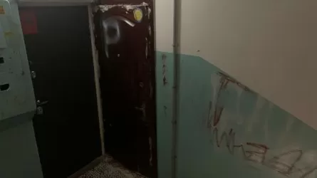 Злоумышленников, замуровавших дверь квартиры Борейко, ищет полиция