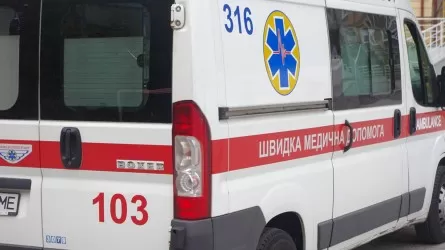 Киев маңында тікұшақ апатынан Украина ІІМ басшысы мен тағы 15 адам қаза тапты