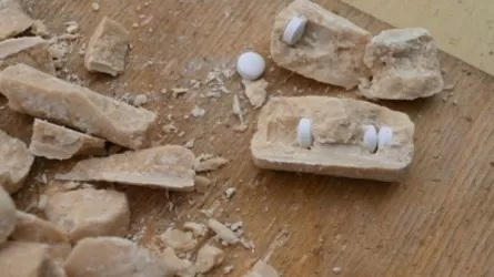 Ақтауда тергеу  изоляторына кәмпитке оралған есірткі өткізбек болғандар ұсталды
