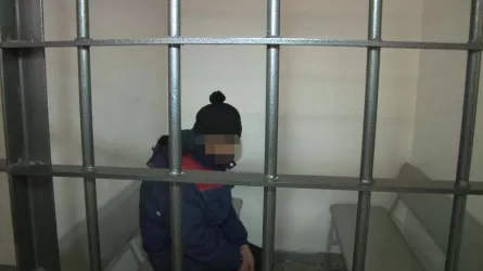 В Караганде арестовали водителя, оказавшего неповиновение полицейским