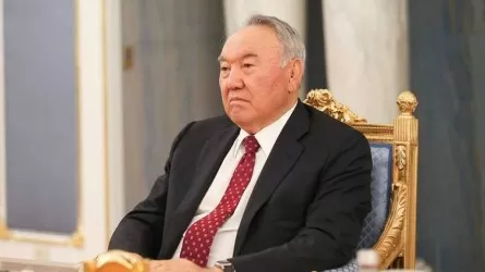 Проверяем везде – МСХ о возвращении в госсобственность земель семьи Назарбаевых