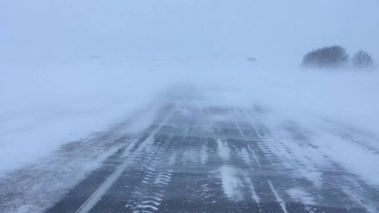 Водителя из Туркестана оштрафовали за выезд на закрытую трассу в непогоду