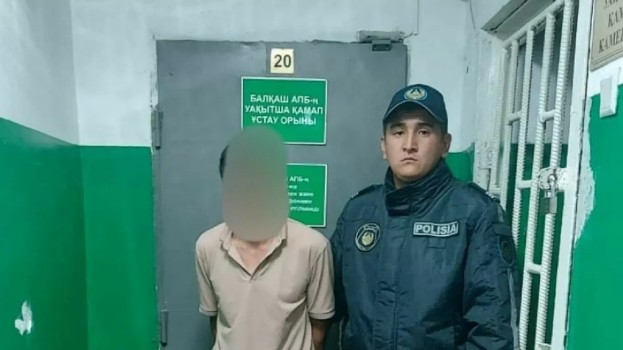 Алматы облысында кішкентай қызды зорлады деген күдікті ұсталды