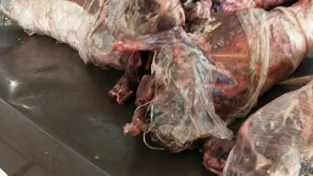 Қызылордада киік еті ашық саудаға салынған