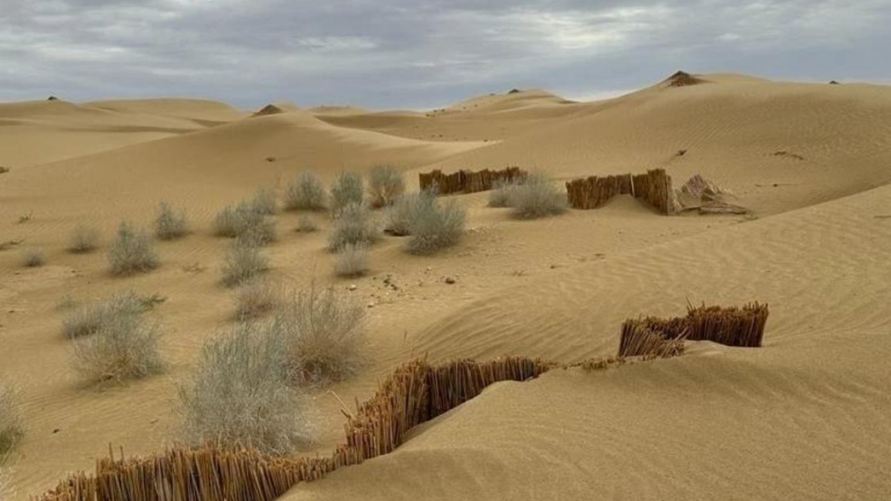Өте тар джинсы киген қыздың суреті Әйелдер түрмелері туралы порнофильмдер