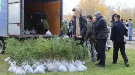 В Абайской области прошла акция «Жаңа Қазақстан. Таза табиғат» в честь Дня Республики