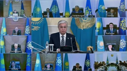 Субсидиялау агроөнеркәсіп кешеніндегі өнімділікті арттыруға ықпал етуі тиіс – Тоқаев