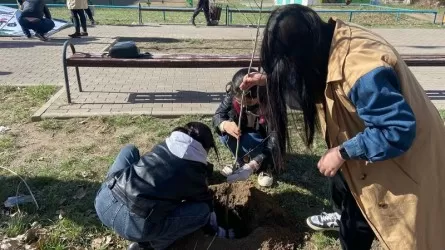 Мемлекет қаржысына отырғызылған көшеттердің жартысынан көбі өспей қалған