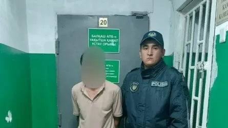 Алматы облысында кішкентай қызды зорлады деген күдікті ұсталды