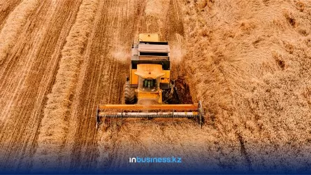 Казахстанские фермеры собрали более 86% зерновых – по каким ценам у них купят фуражную пшеницу?