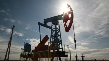 Нефть могут найти в районе Меловых гор Актюбинской области