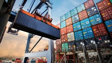 В РК ввели правила по выдаче лицензии на экспорт и/или импорт отдельных видов товаров при введении квот