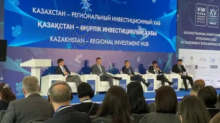 Қазақстан әзірге Орталық Азияда инвестициялық хабқа айнала алмай отыр