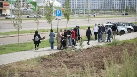 Елімізде егілген әр үшінші ағаш тамыр жая алмай, семіп қалуда 