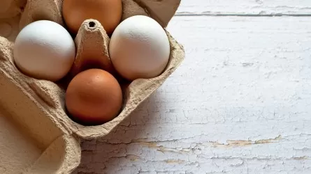 Яйца по разным корзинам: птицеводы предлагают решение для выживания отрасли