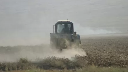 Жаңбырдың салдарынан өнім жинау қиын боп тұр