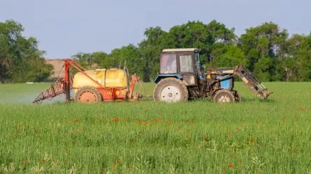 Украинадағы ауыл шаруашылығы дағдарыс алдында тұр