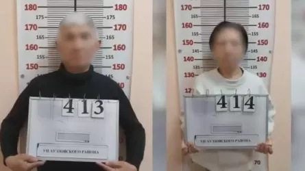 Ерлі-зайыпты ұрлық жасаумен айналысқан 