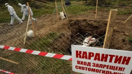 Захоронения падших от сибирской язвы животных обнаружили вблизи жилых домов в ВКО