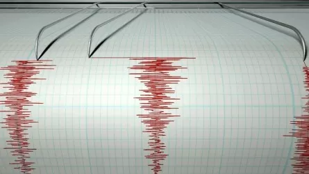 В 1195 км от Алматы произошло землетрясение  