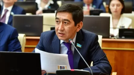 Министрдің не әкімнің баласы әскерде жүр дегенді естімеппін - Ринат Зайытов 