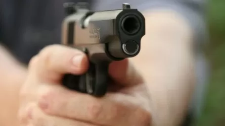 Алматы тұрғыны үйінің терезесінен оқ атты