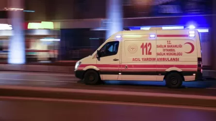 Пять детей сгорели заживо в ДТП в Турции