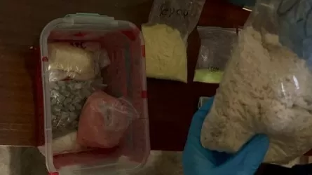 Алматыда аса ірі көлемде есірткі таратқан ерлі-зайыпты ұсталды
