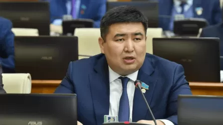«Бұл мәселені шеше алмаймыз»: Депутат баспана кезегіндегі тұрмысы төмен азаматтардың жайын айтты 