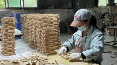 Қытай пластикті бамбукпен алмастыру процесін жеделдетеді