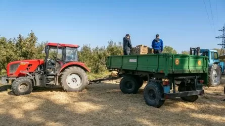 Шаруалар шығыны: Үкімет резервінен бөлінген қаражатты 246 шаруашылық алды