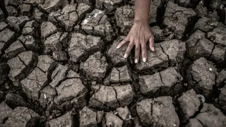 Землетрясение в Таджикистане зафиксировали казахстанские сейсмологи