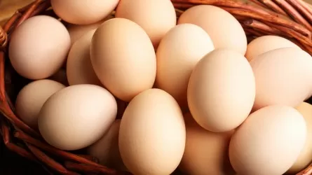 За последние полгода яйцо сильно в цене выросло – Серик Жумангарин