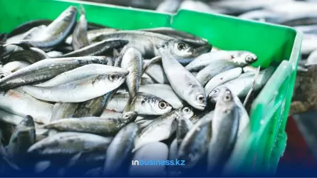 В Казахстане продажи рыбы и морепродуктов выросли на 26%