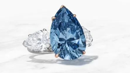 Скольким казахстанцам пришлось бы отказаться от зарплаты ради покупки крупного голубого бриллианта  