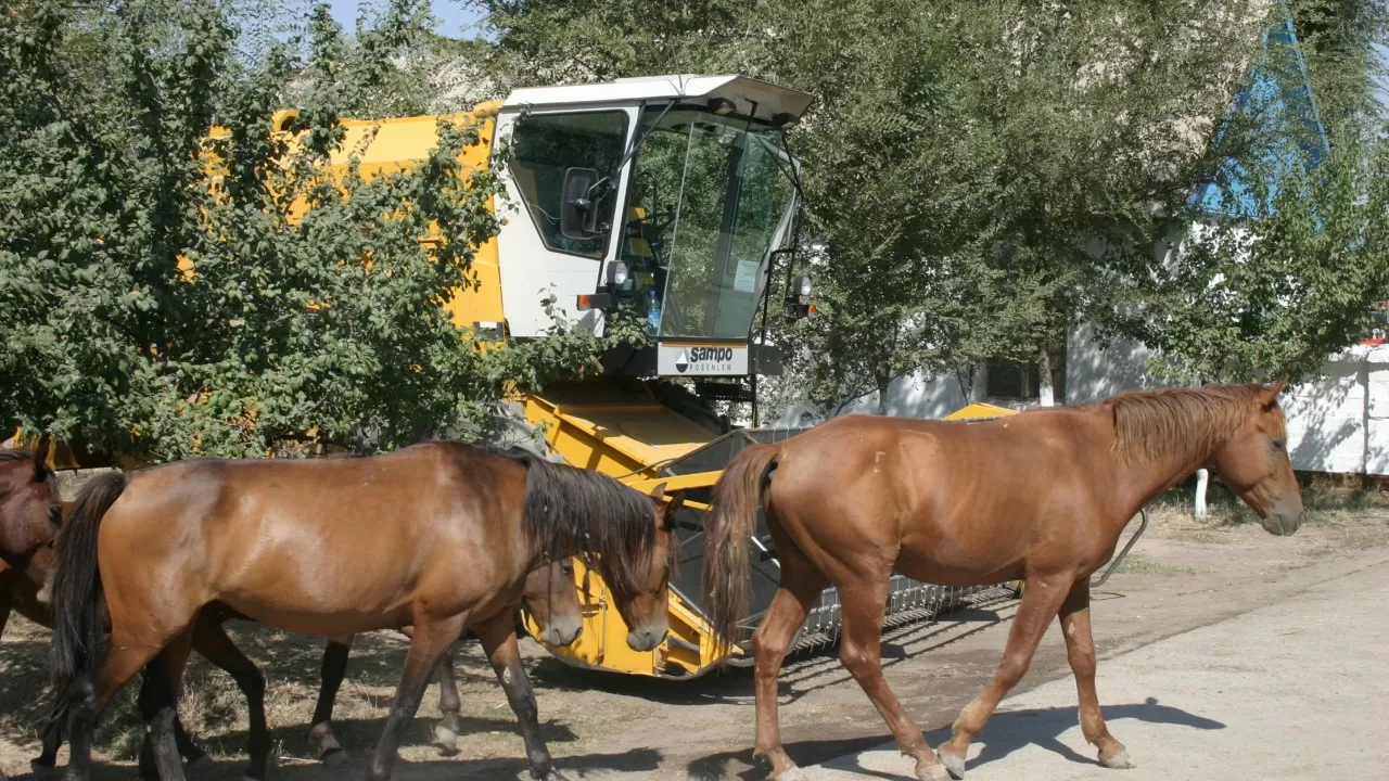 Фермерлердің несиені төлеу мерзімін ұзарту жұмыстары қалай жүріп жатыр?